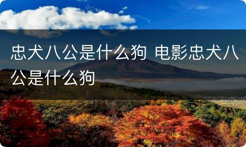 忠犬八公是什么狗 电影忠犬八公是什么狗