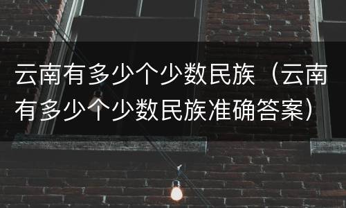 云南有多少个少数民族（云南有多少个少数民族准确答案）