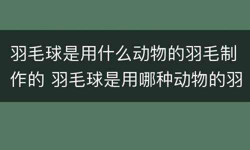 羽毛球是用什么动物的羽毛制作的 羽毛球是用哪种动物的羽毛做成的