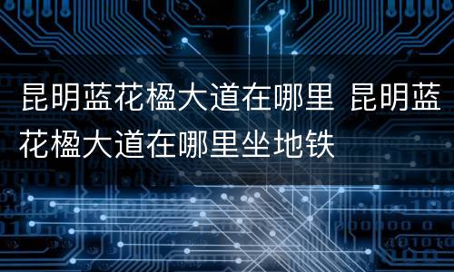 昆明蓝花楹大道在哪里 昆明蓝花楹大道在哪里坐地铁