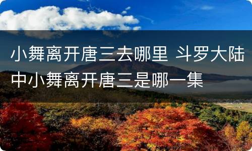 小舞离开唐三去哪里 斗罗大陆中小舞离开唐三是哪一集