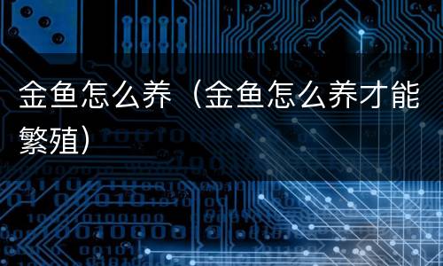 金鱼怎么养（金鱼怎么养才能繁殖）