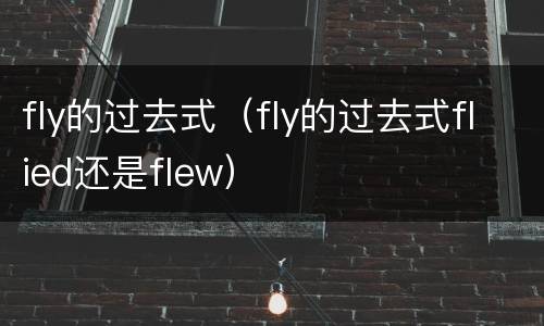 fly的过去式（fly的过去式flied还是flew）