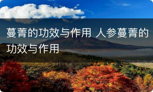 蔓菁的功效与作用 人参蔓菁的功效与作用