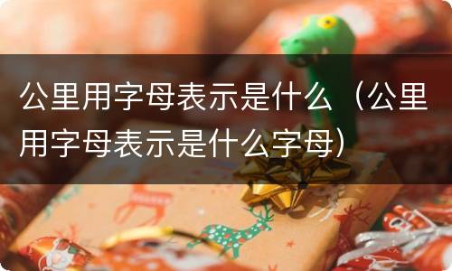 公里用字母表示是什么（公里用字母表示是什么字母）