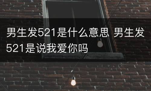 男生发521是什么意思 男生发521是说我爱你吗