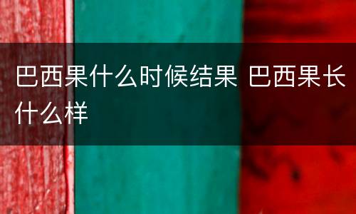 巴西果什么时候结果 巴西果长什么样