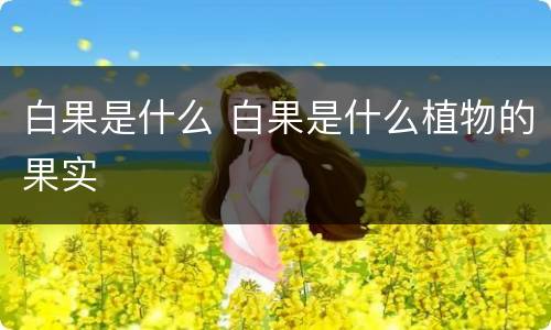 白果是什么 白果是什么植物的果实