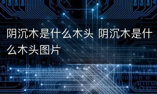 阴沉木是什么木头 阴沉木是什么木头图片