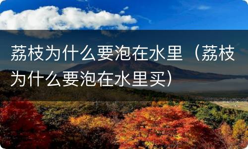 荔枝为什么要泡在水里（荔枝为什么要泡在水里买）
