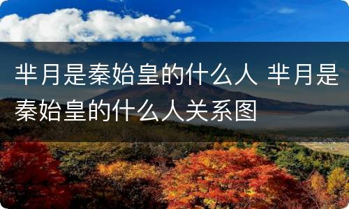 芈月是秦始皇的什么人 芈月是秦始皇的什么人关系图