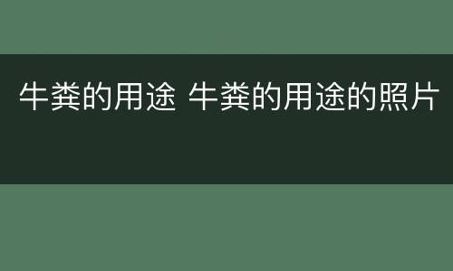 牛粪的用途 牛粪的用途的照片