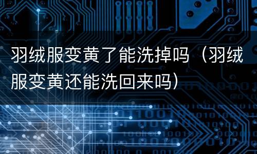 羽绒服变黄了能洗掉吗（羽绒服变黄还能洗回来吗）