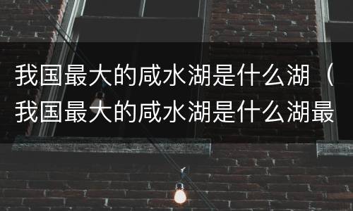 我国最大的咸水湖是什么湖（我国最大的咸水湖是什么湖最大的淡水湖是什么湖）
