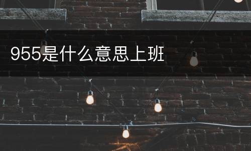 955是什么意思上班