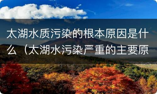 太湖水质污染的根本原因是什么（太湖水污染严重的主要原因）