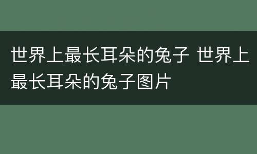 世界上最长耳朵的兔子 世界上最长耳朵的兔子图片