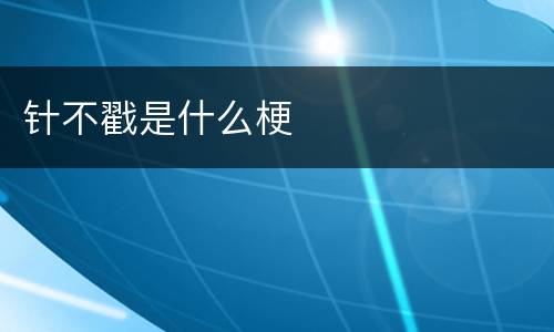 针不戳是什么梗