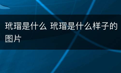 玳瑁是什么 玳瑁是什么样子的图片