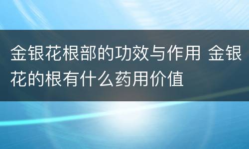 金银花根部的功效与作用 金银花的根有什么药用价值