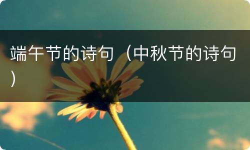 端午节的诗句（中秋节的诗句）