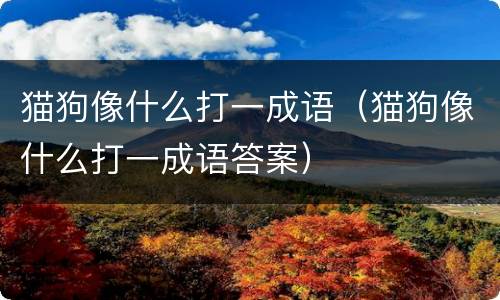 猫狗像什么打一成语（猫狗像什么打一成语答案）