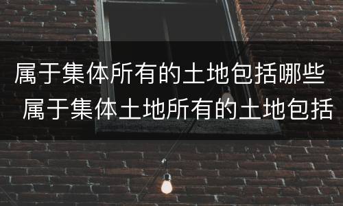 属于集体所有的土地包括哪些 属于集体土地所有的土地包括