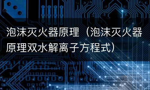 泡沫灭火器原理（泡沫灭火器原理双水解离子方程式）
