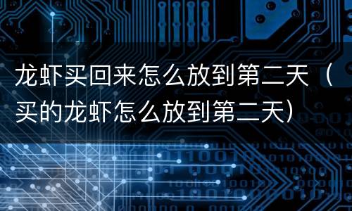 龙虾买回来怎么放到第二天（买的龙虾怎么放到第二天）