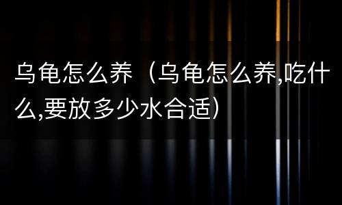 乌龟怎么养（乌龟怎么养,吃什么,要放多少水合适）