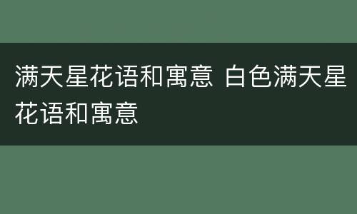 满天星花语和寓意 白色满天星花语和寓意