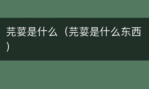 芫荽是什么（芫荽是什么东西）