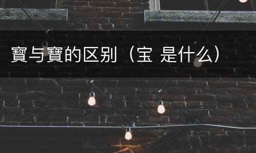 寳与寶的区别（宝 是什么）