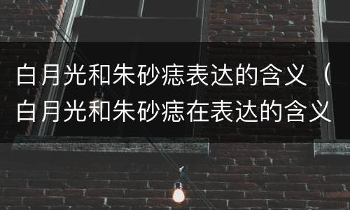 白月光和朱砂痣表达的含义（白月光和朱砂痣在表达的含义）