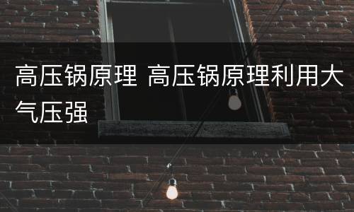 高压锅原理 高压锅原理利用大气压强