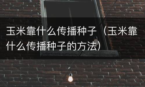 玉米靠什么传播种子（玉米靠什么传播种子的方法）