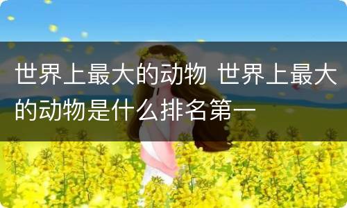 世界上最大的动物 世界上最大的动物是什么排名第一