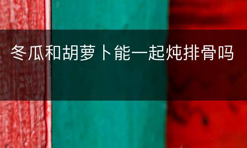 冬瓜和胡萝卜能一起炖排骨吗