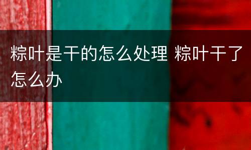 粽叶是干的怎么处理 粽叶干了怎么办