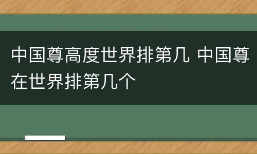 中国尊高度世界排第几 中国尊在世界排第几个