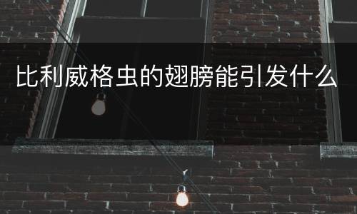 比利威格虫的翅膀能引发什么