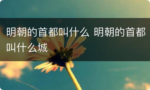 明朝的首都叫什么 明朝的首都叫什么城