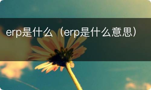 erp是什么（erp是什么意思）