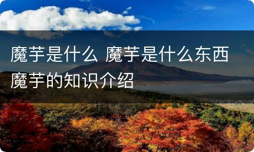 魔芋是什么 魔芋是什么东西 魔芋的知识介绍