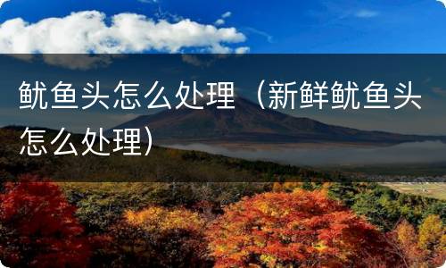 鱿鱼头怎么处理（新鲜鱿鱼头怎么处理）