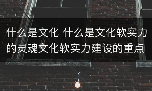 什么是文化 什么是文化软实力的灵魂文化软实力建设的重点