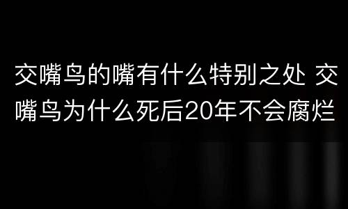 交嘴鸟的嘴有什么特别之处 交嘴鸟为什么死后20年不会腐烂