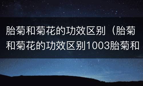 胎菊和菊花的功效区别（胎菊和菊花的功效区别1003胎菊和菊花的）