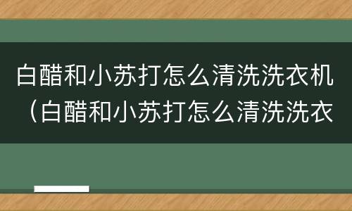 白醋和小苏打怎么清洗洗衣机（白醋和小苏打怎么清洗洗衣机视频）
