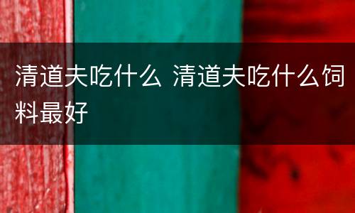 清道夫吃什么 清道夫吃什么饲料最好